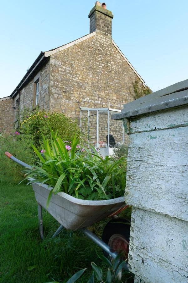 Hotel Orchard Glamping Catterall Exterior foto